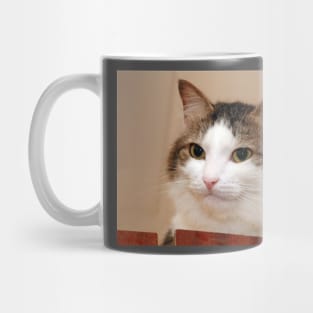 Original Starecat Mug